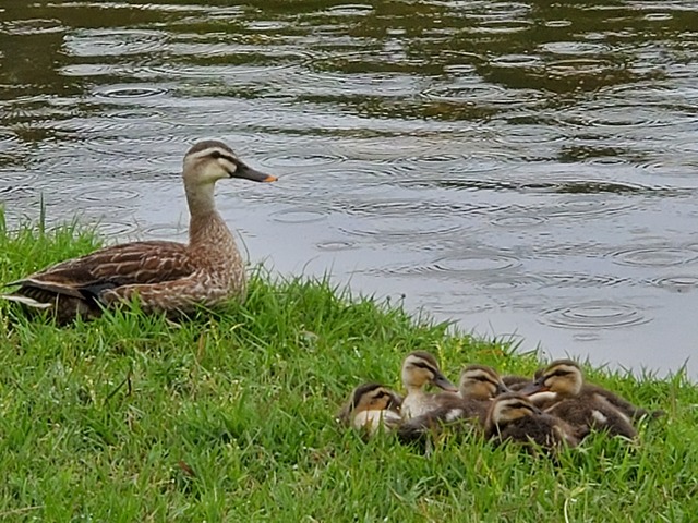 20190630_081859