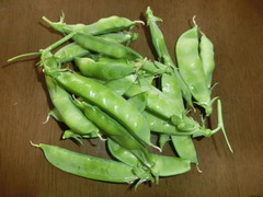 CIMG0152