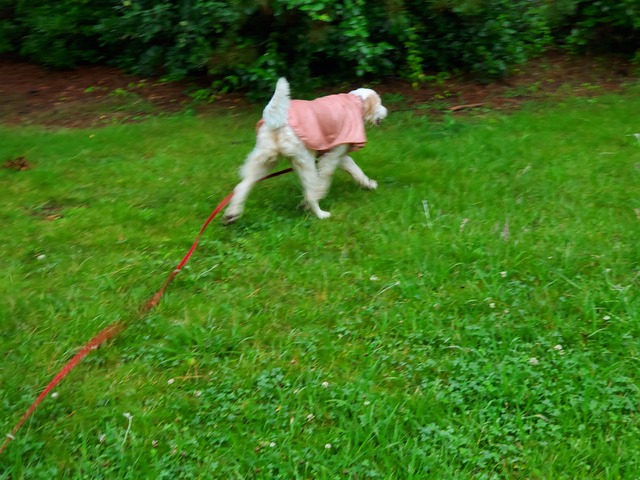 20190630_075424