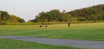 20200529_050434