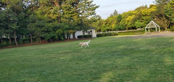 20200524_052907