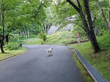 20190710_050317