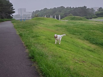 20190722_054535