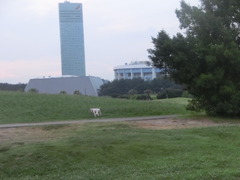 CIMG0655