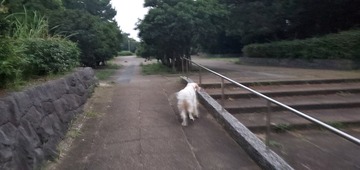 20190819_045213