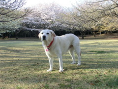 CIMG0743