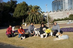 DSC00265