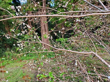 20191023_134556