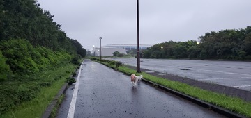 20200520_050302