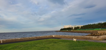 20200727_052502