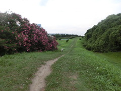 CIMG0662