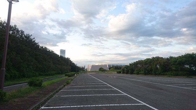 DSC_4501