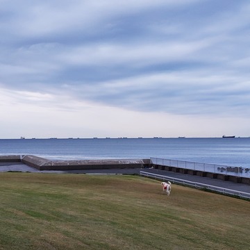 20201030_060347
