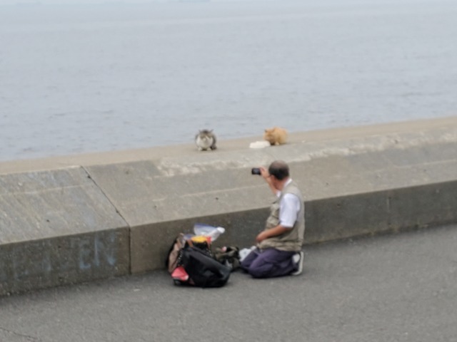 20190621_062102