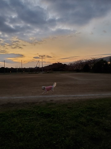 20191109_055312 - コピー