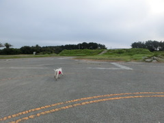 CIMG0030