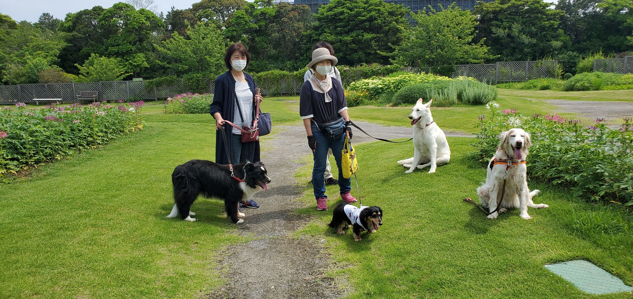 花の名前 サラとの新生活日記 ラフィとあみの帰ったらごはん 花の名前 サラとの新生活日記 ラフィとあみの帰ったらごはん