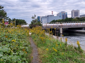 20191028_061520