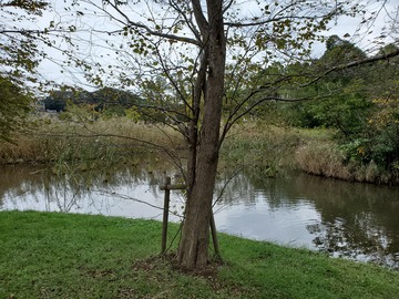 20191103_095349 - コピー