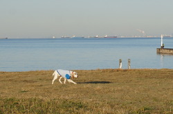 DSC01217