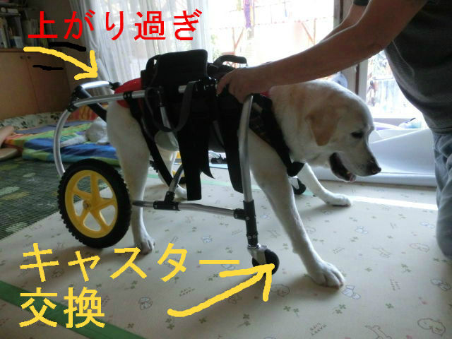 大型犬 歩行器（ポチの車椅子製作）-