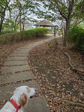20191103_095100 - コピー