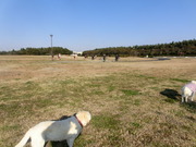 2011年12月2529日 005