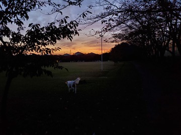 20191103_054422