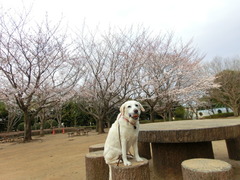 CIMG0672