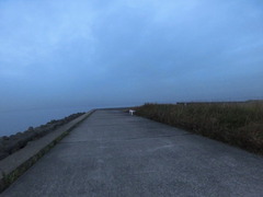 CIMG0745