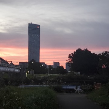 20201026_054328