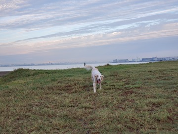 20190919_054858