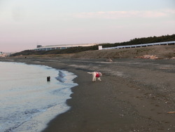 CIMG0084