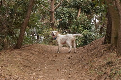DSC01033