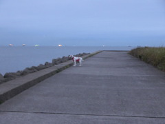 CIMG0715