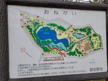 20191103_094756 - コピー