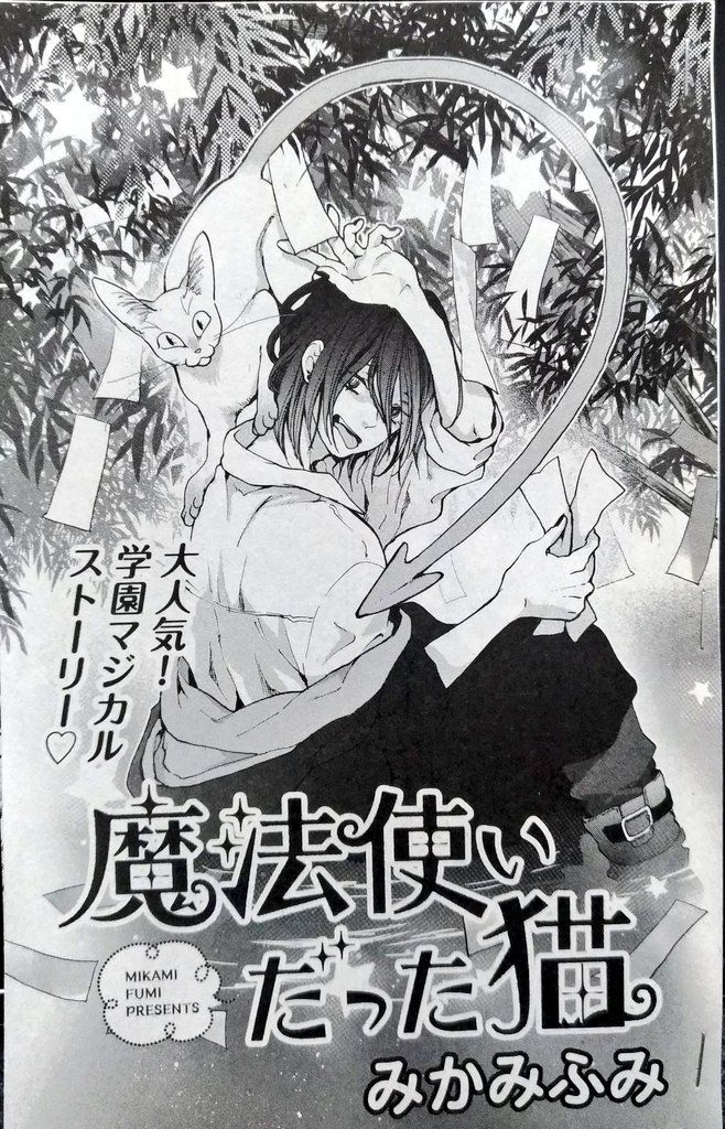 ねこぱんち 足の短い猫