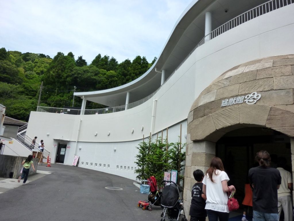 イメージ 7