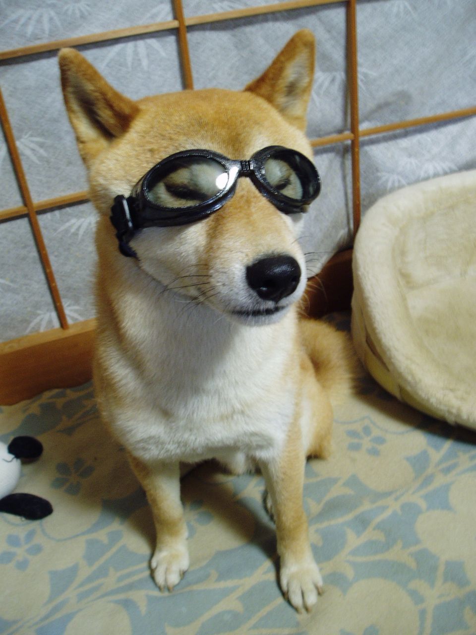 イメージ 10