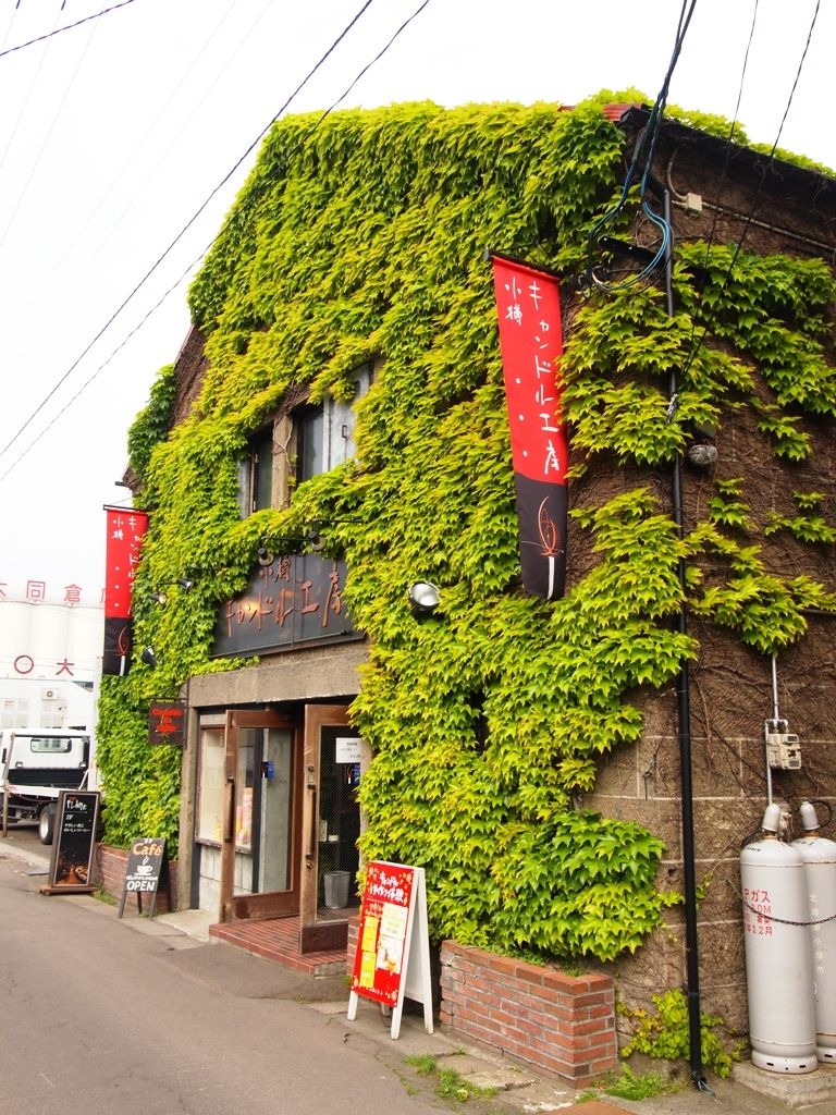 イメージ 10