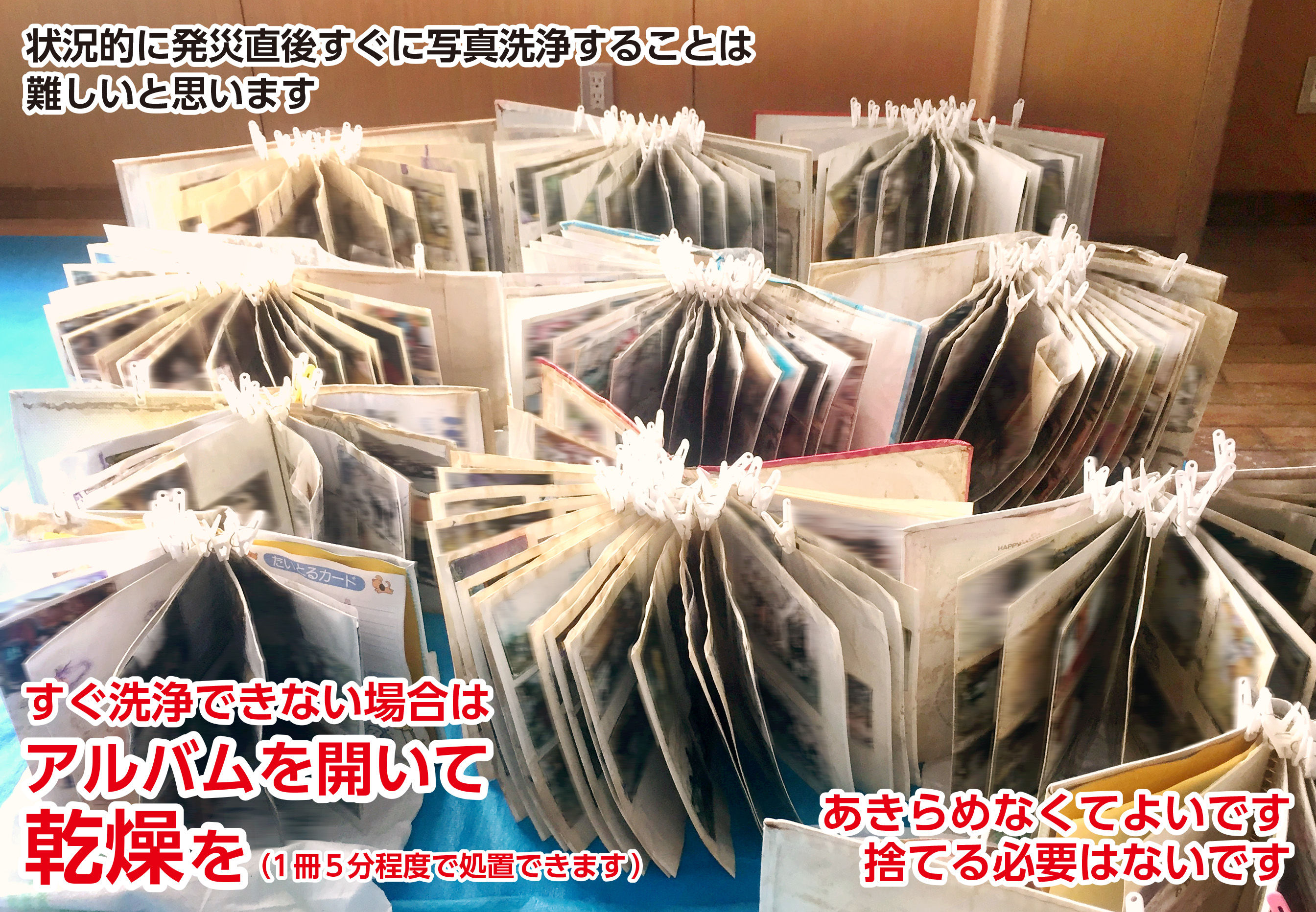 被災写真の応急処置 初期対応 課外のあらいぐま