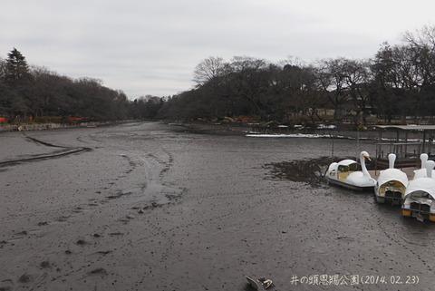 20140223_御殿山コミセン1