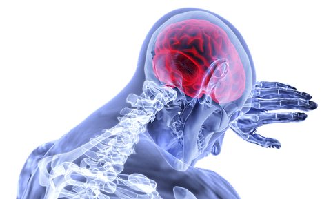 brain-3168269_640