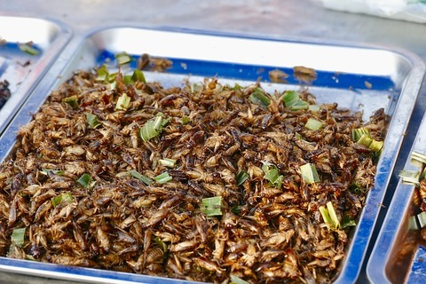 food-3348724_640