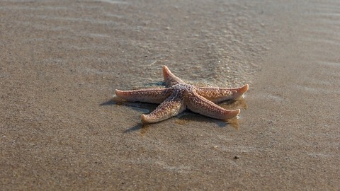 beach-3470318_640