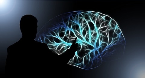 brain-3141247_640