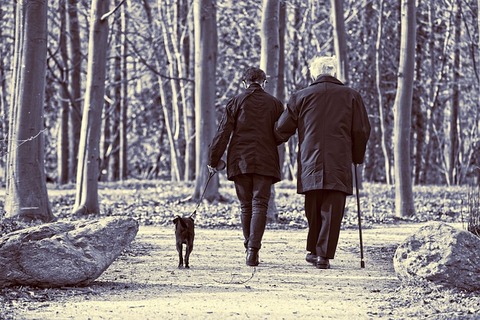 elderly-couple-3304384_640