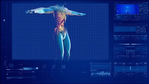 human-digestive-system-163714_640