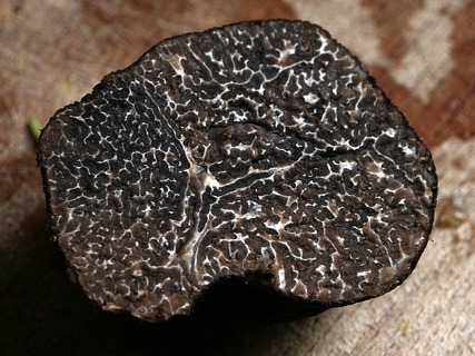 winter-truffle-203032_640