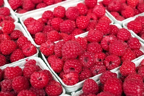 raspberry-1465988_640